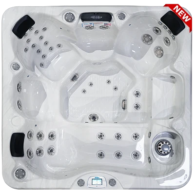 Avalon-X EC-849LX hot tubs for sale in Gaithersburg